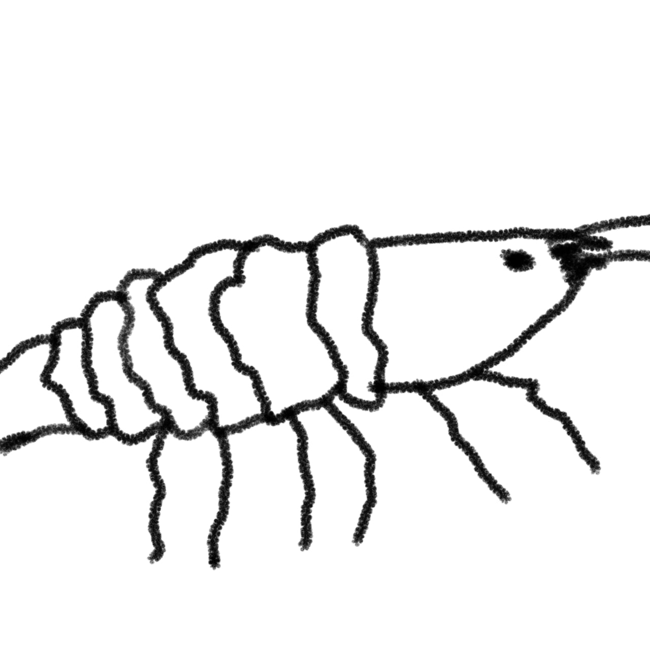 The Spineless (Crustaceans and Mollusks)